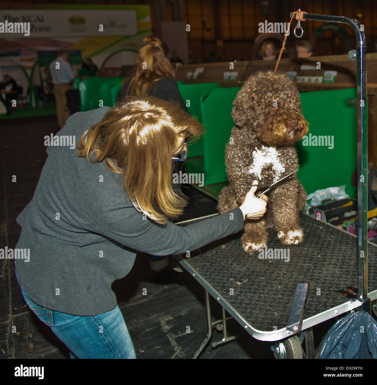 Birmingham, UK. 5 mars, 2015. Le premier jour de Crufts Dog Show Birmingham Crédit : charlie bryan/Alamy Live News Banque D'Images