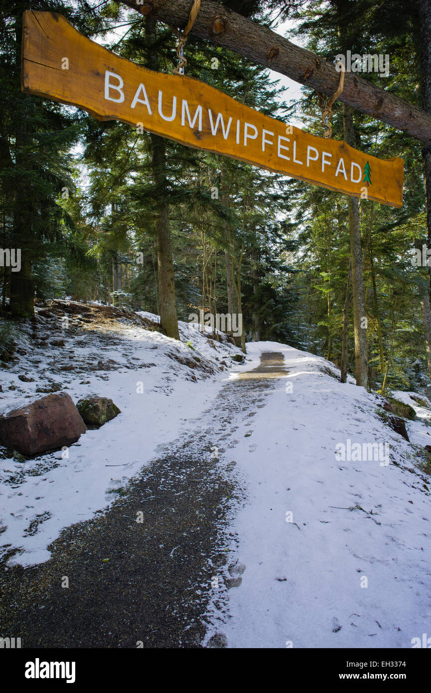 Parcours accrobranche Baumwipfelpfad Bad Wildbad Bade-wurtemberg Allemagne Forêt-Noire du Nord Banque D'Images