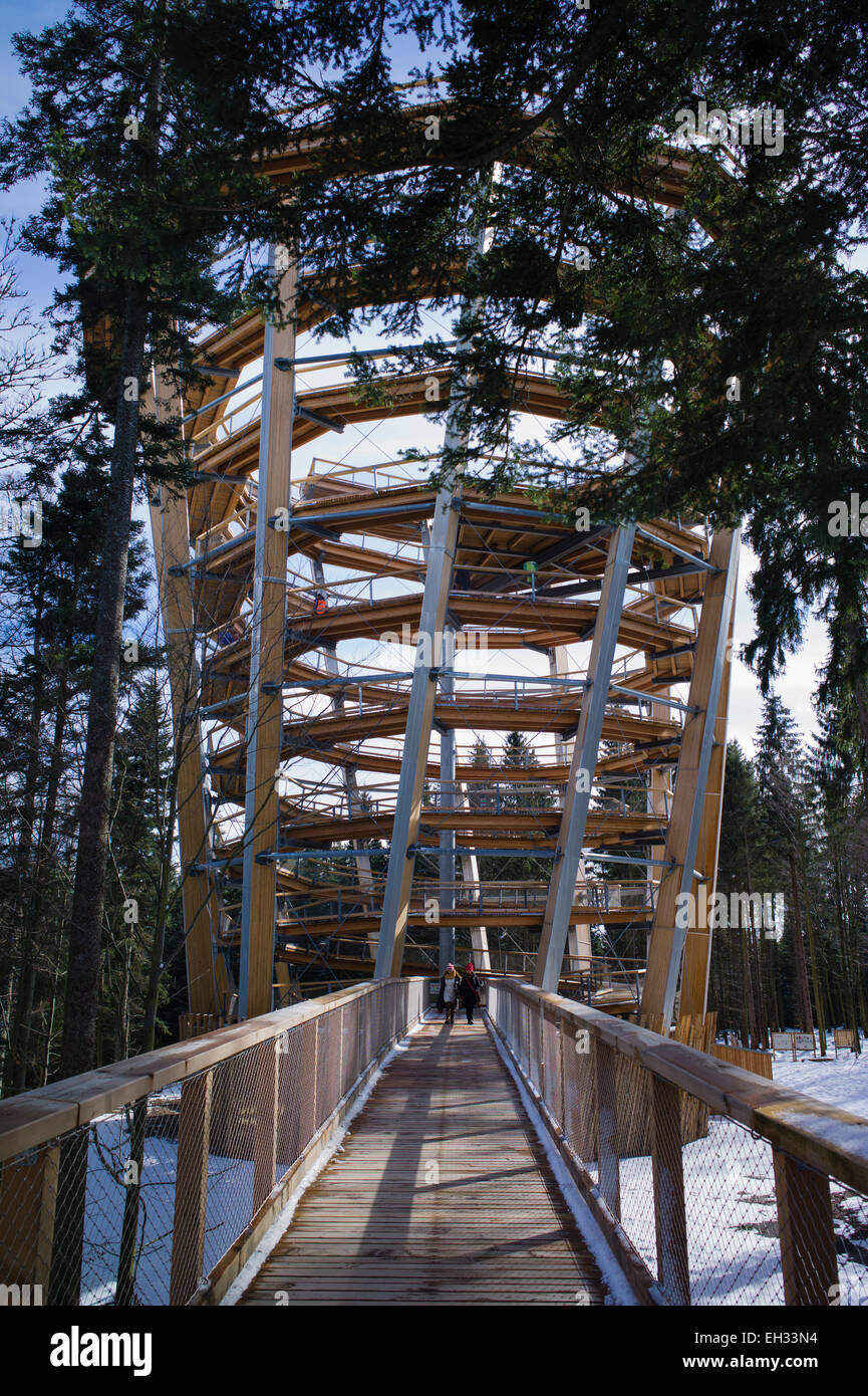 Parcours accrobranche Baumwipfelpfad Bad Wildbad Bade-wurtemberg Allemagne Forêt-Noire du Nord Banque D'Images