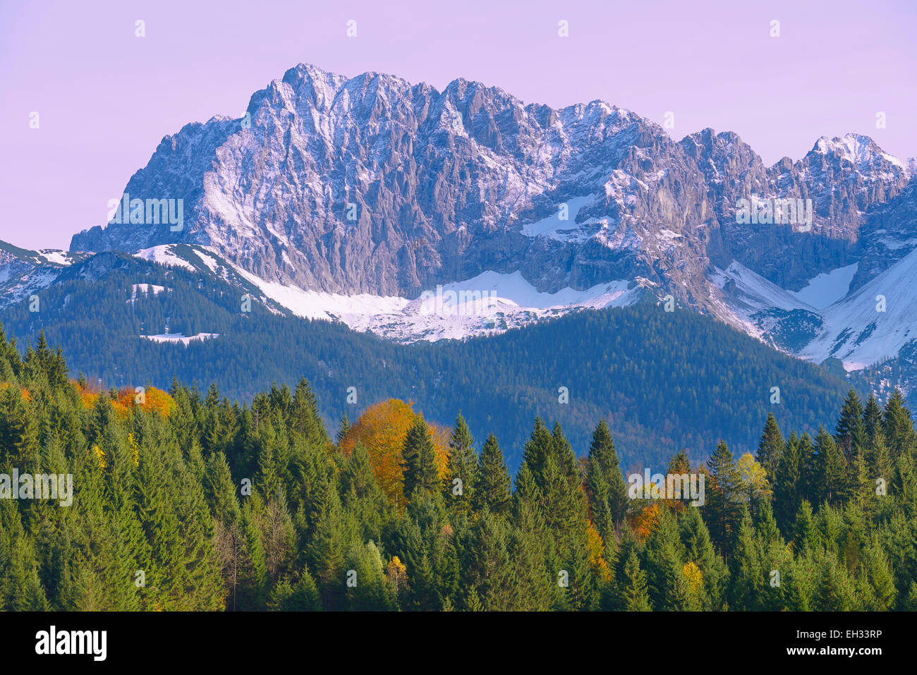 Arbres en automne avec des Karwendel, près de Garmisch-Partenkirchen, Werdenfelser Land, Upper Bavaria, Bavaria, Germany Banque D'Images
