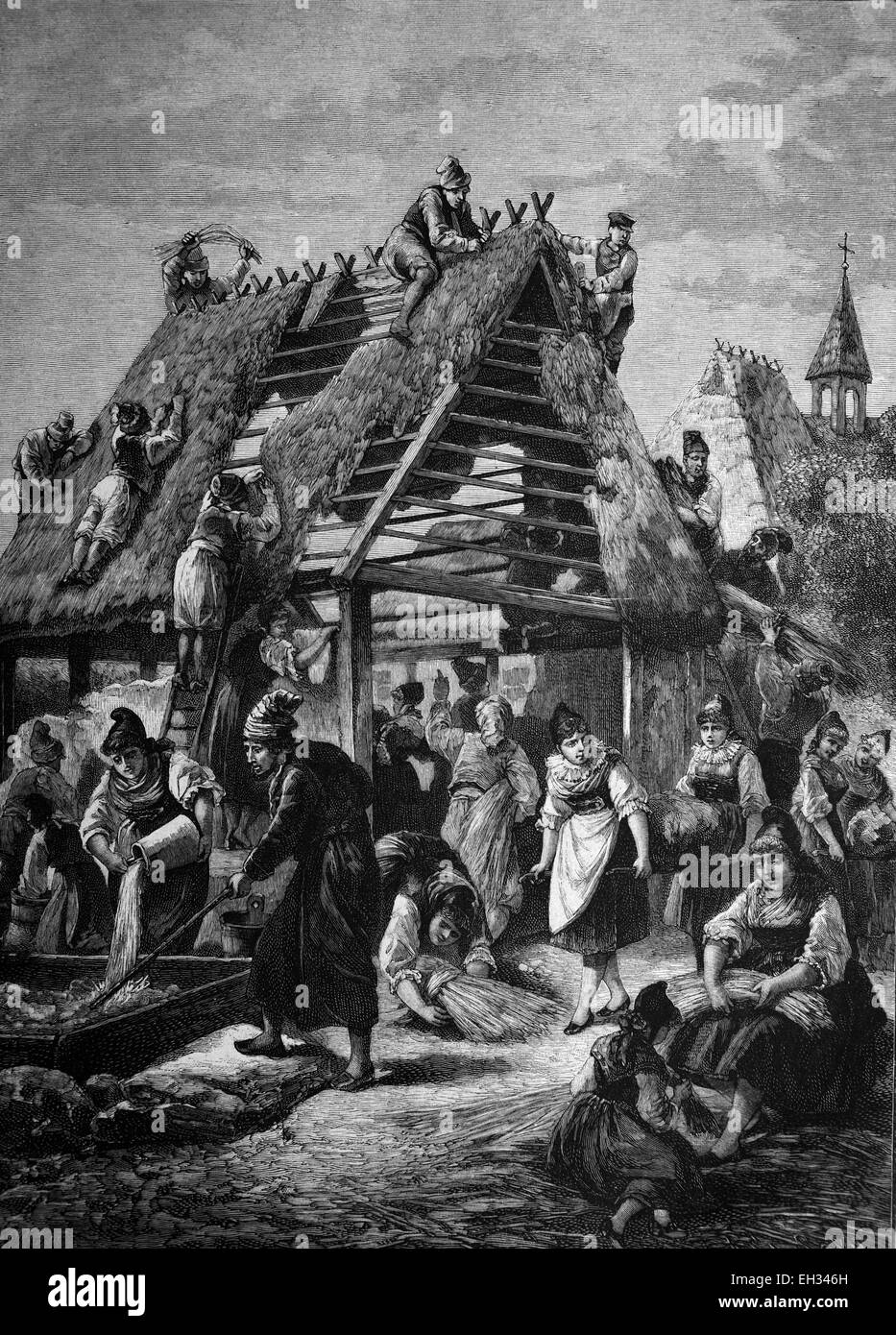 Gravure historique, construction d'une maison près de Moenchgut Ruegen, péninsule, Mecklembourg-Poméranie-Occidentale, en Allemagne, en 1888, de l'Europe Banque D'Images