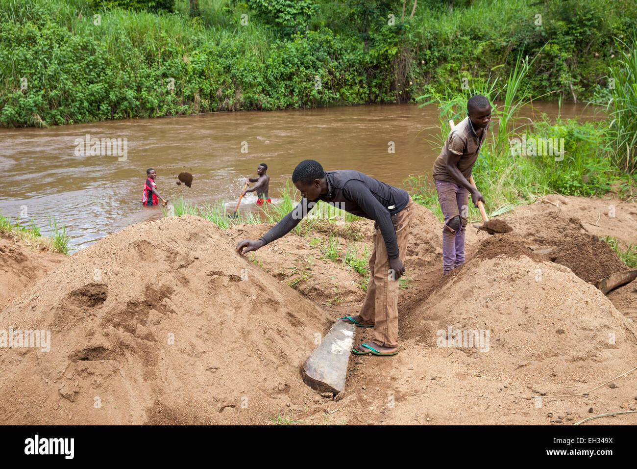 Les collectionneurs de sable travaillant dans une rivière à débit rapide. Il s'agit d'un site de reproduction idéal pour les mouches noires qui portent la maladie la cécité des rivières ou onchocercose. Banque D'Images