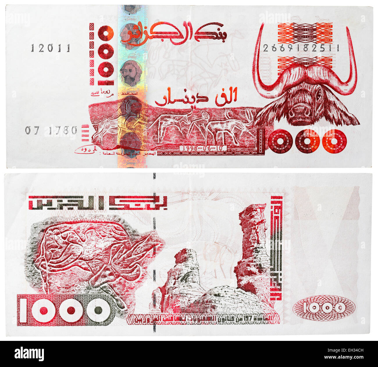 Billet de 1000 dinars, tête d'antilope, Algérie, 1996 Banque D'Images