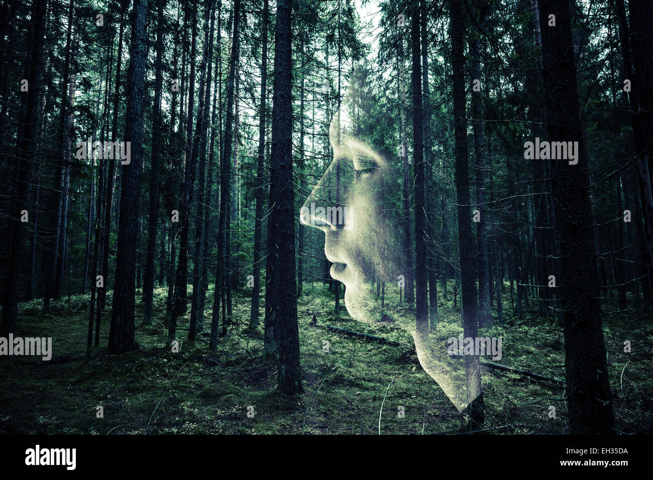Double exposition avec concept photo face et profil mâle forêt vert foncé. Style rétro aux couleurs vert filtre photo Banque D'Images