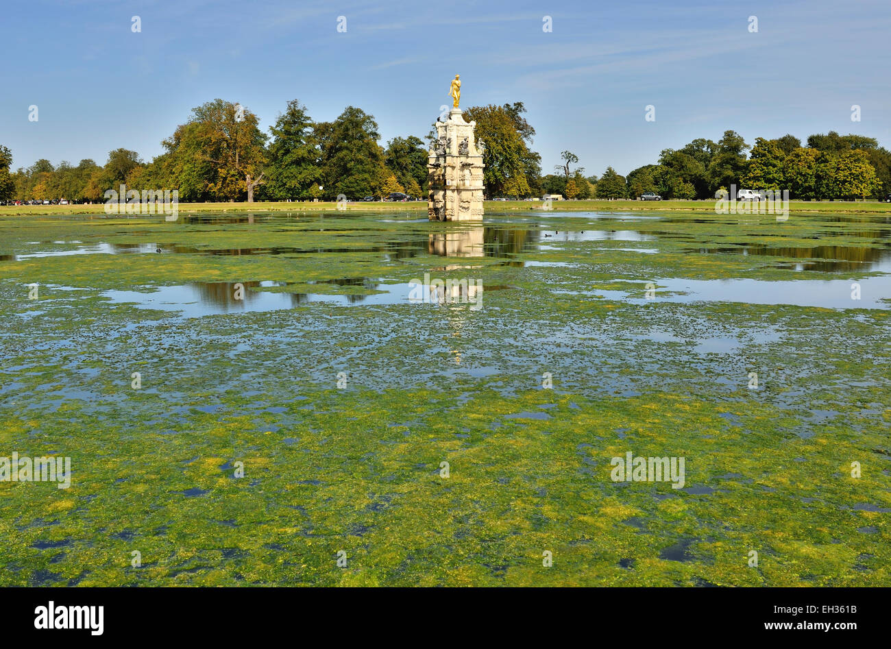 Fontaine couverte de lentilles d'Diana en été, Bushy Park, London, UK Banque D'Images