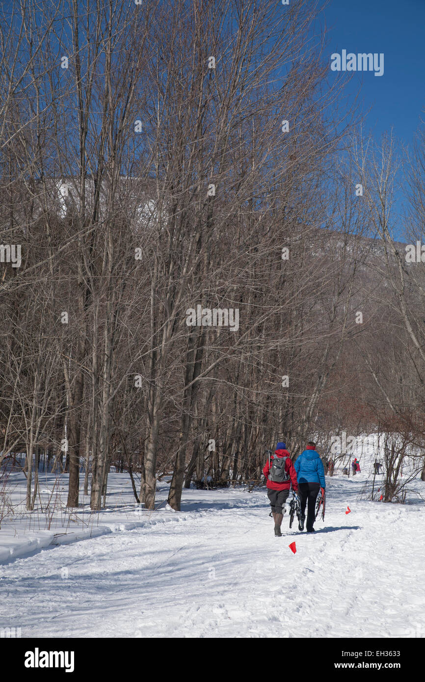 Spectateurs à pied sur le parcours de la course de ski Thunderbolt en mars 2015 sur Mount Greylock, Adams, MA. Banque D'Images