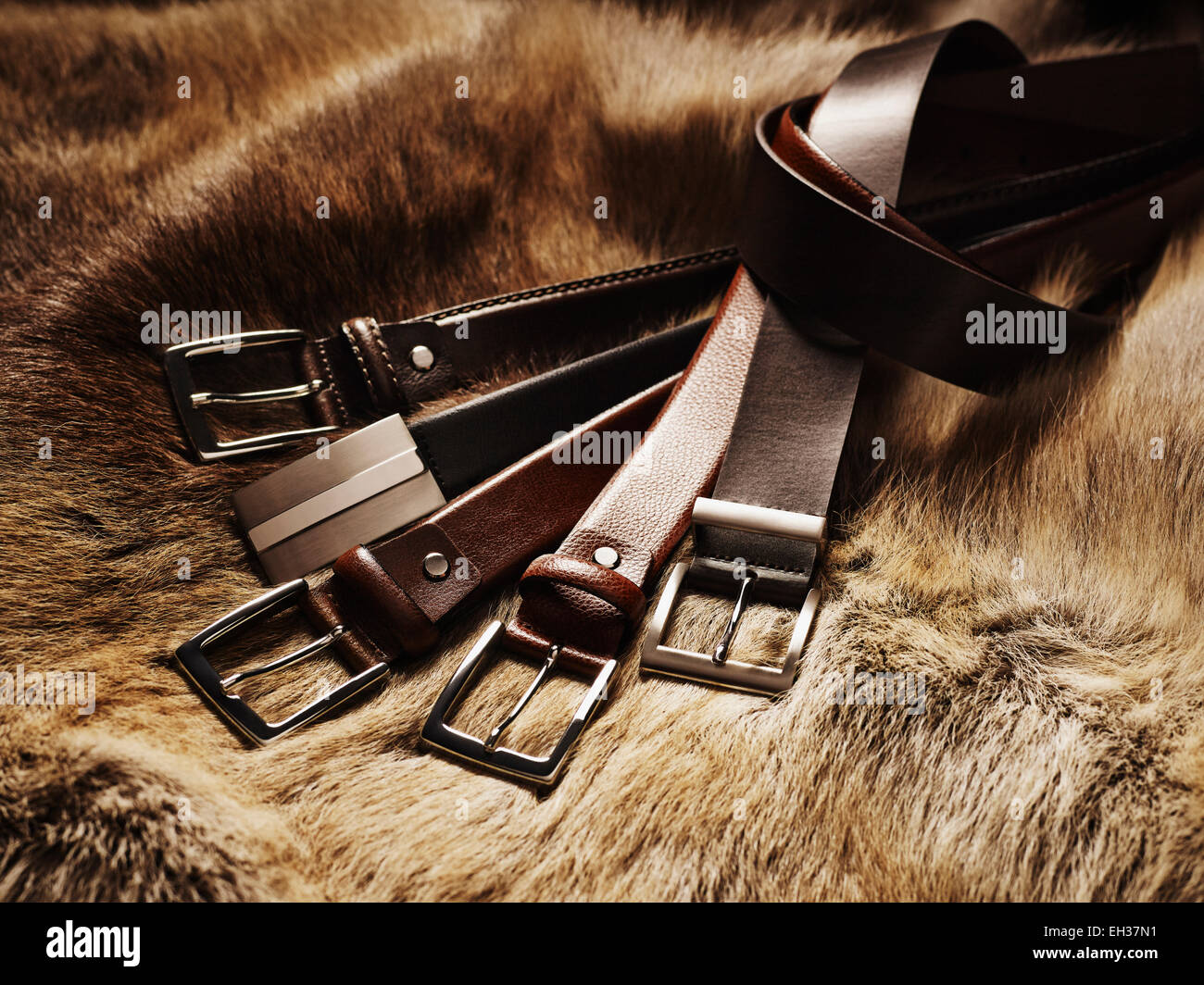 Cinq ceintures en cuir sur la fourrure, Studio Shot Banque D'Images