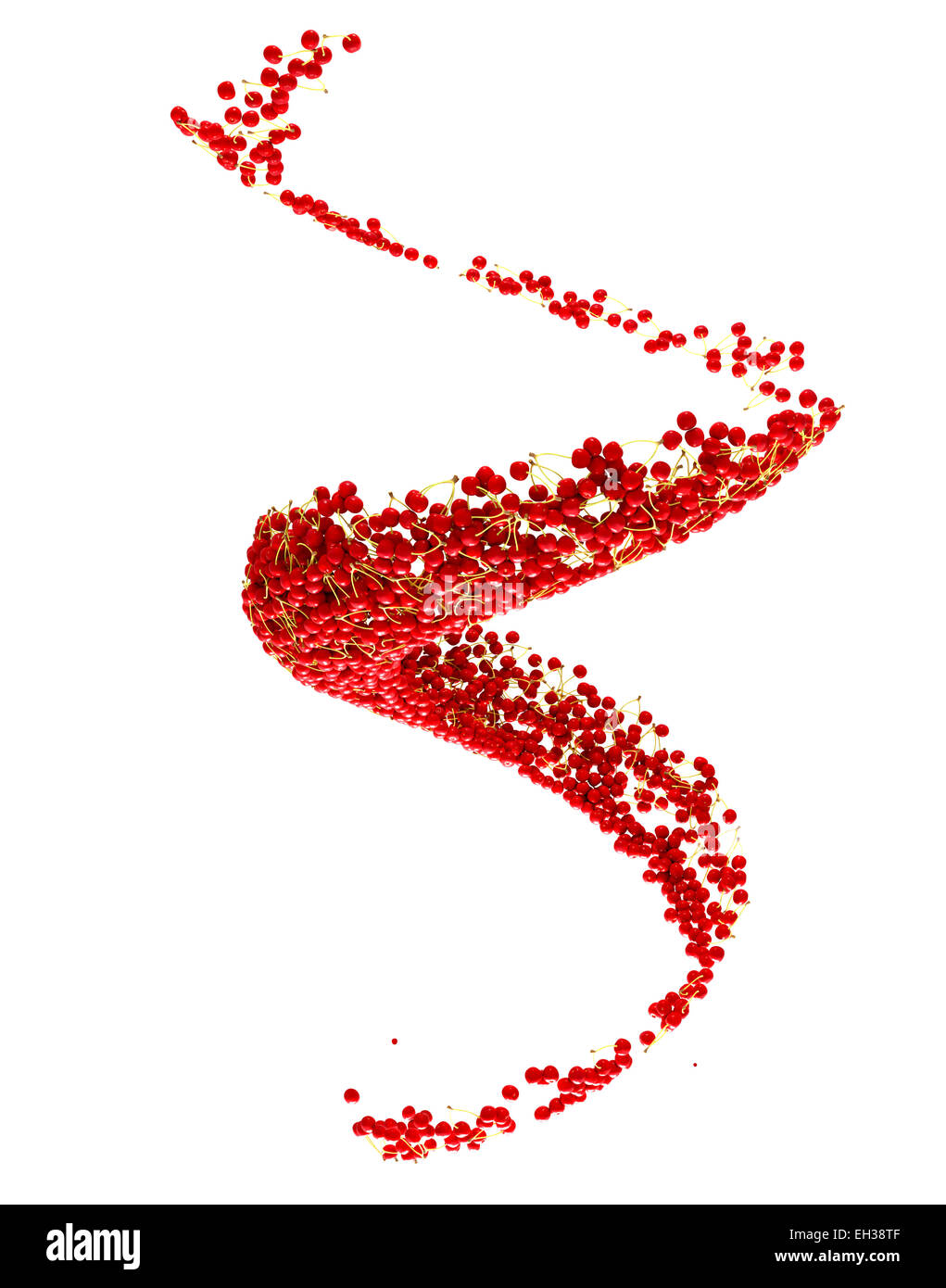 Récolte de fruits : cerise rouge flow isolé sur fond blanc Banque D'Images