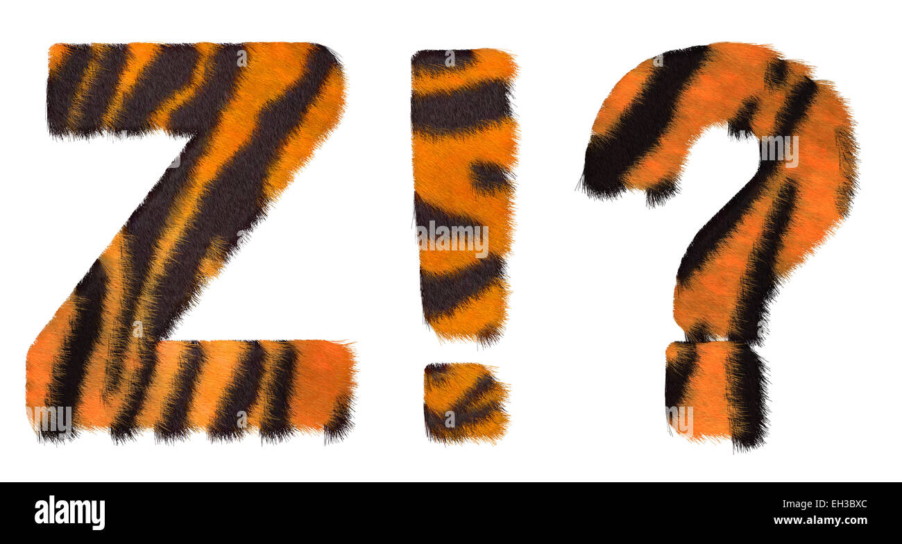 Tiger est passé font Z et Wow quels symboles isolated over white Banque D'Images