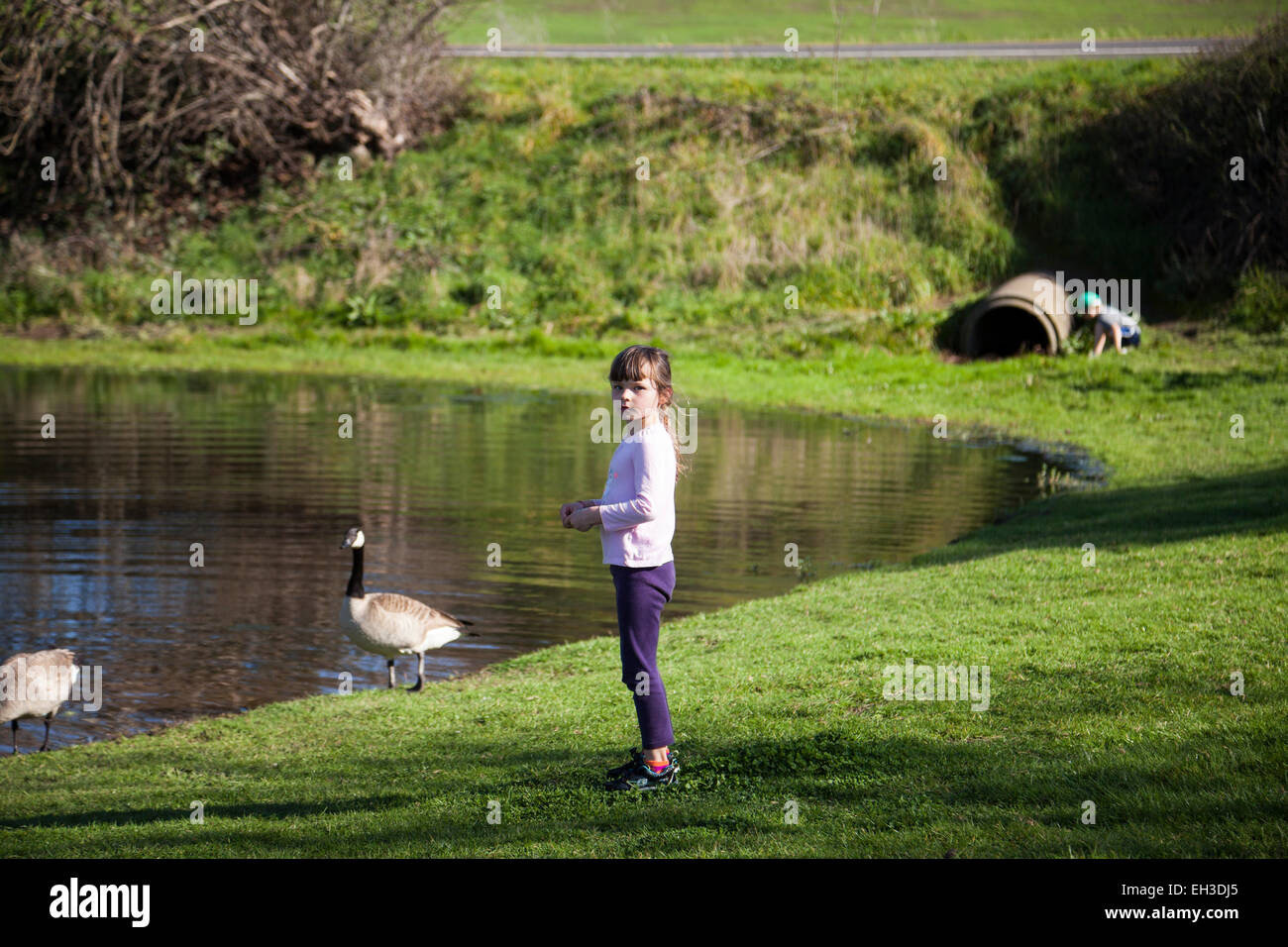 Petite fille jouant par l'étang, Petaluma, Californie, USA Banque D'Images