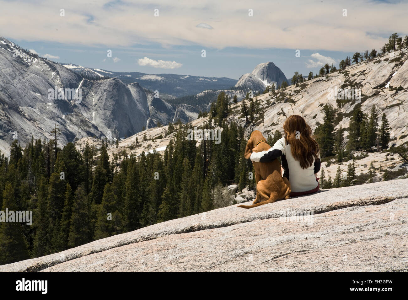 Jeune femme et son chien profitant d'une vue sur la région de Yosemite National Park, California, USA Banque D'Images