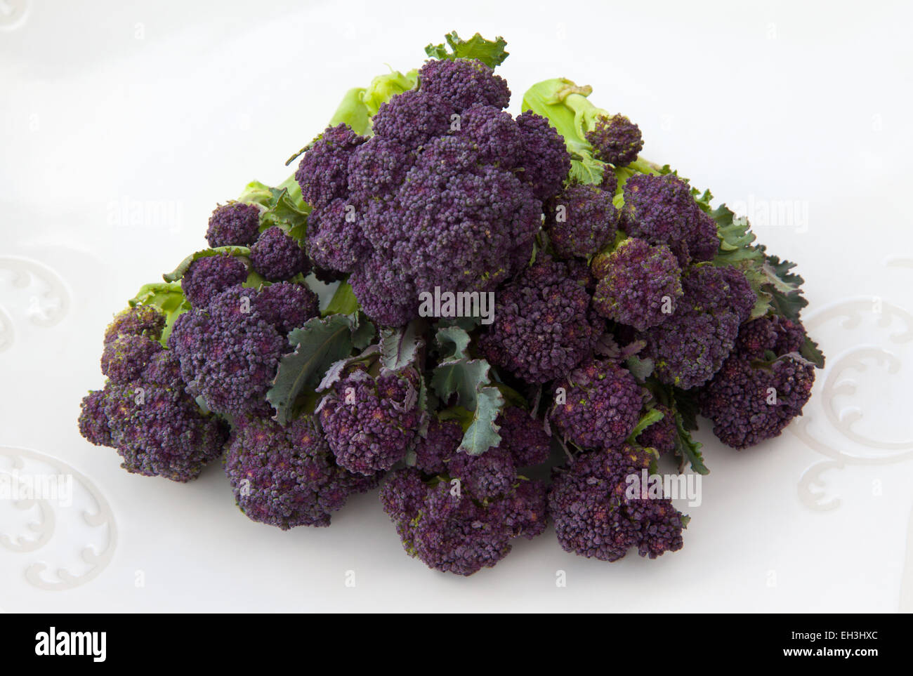 Purple Sprouting brocoli sur une plaque blanche. Banque D'Images