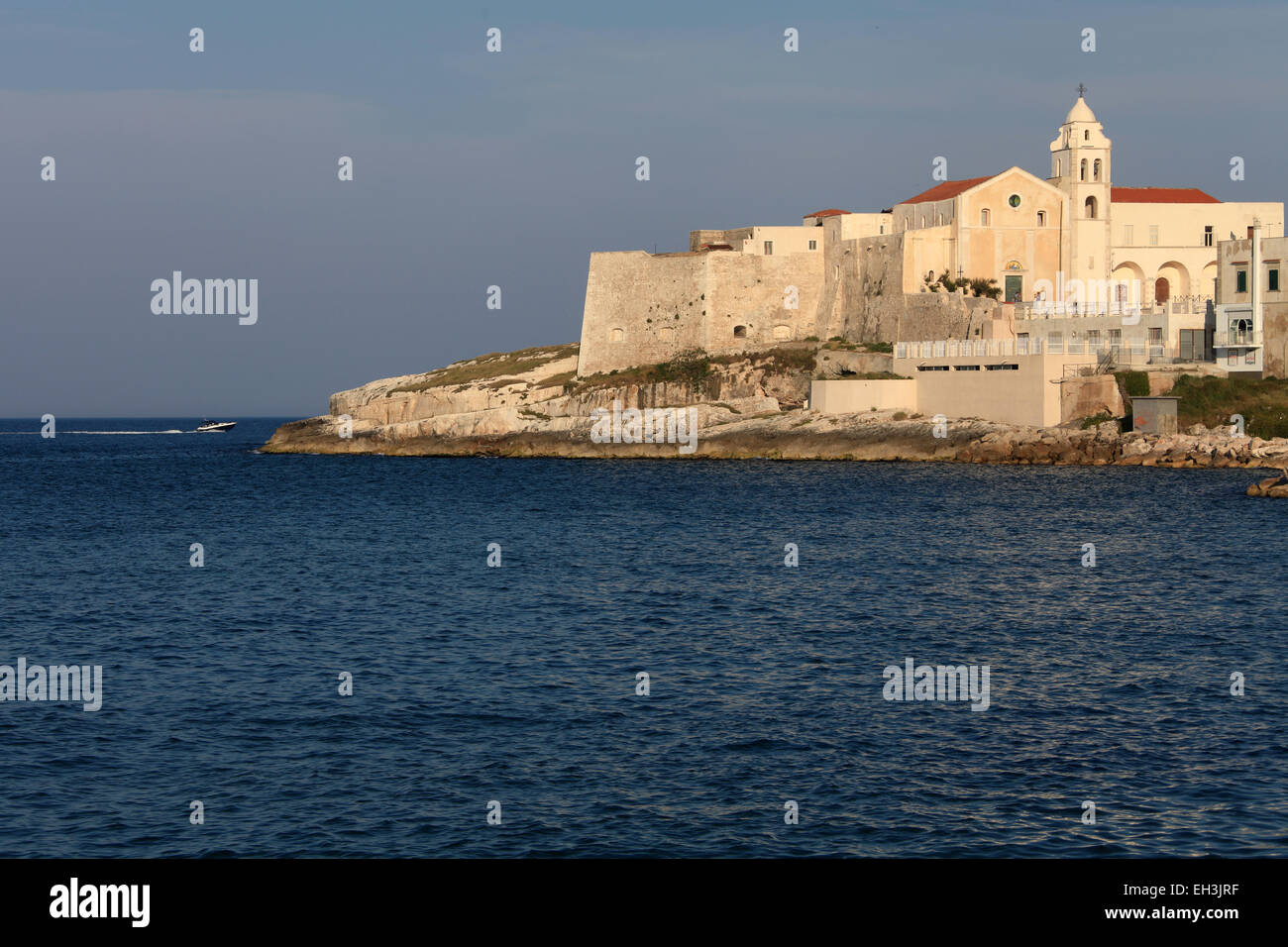 Avis de Vieste, Gargano, Pouilles, Italie Banque D'Images