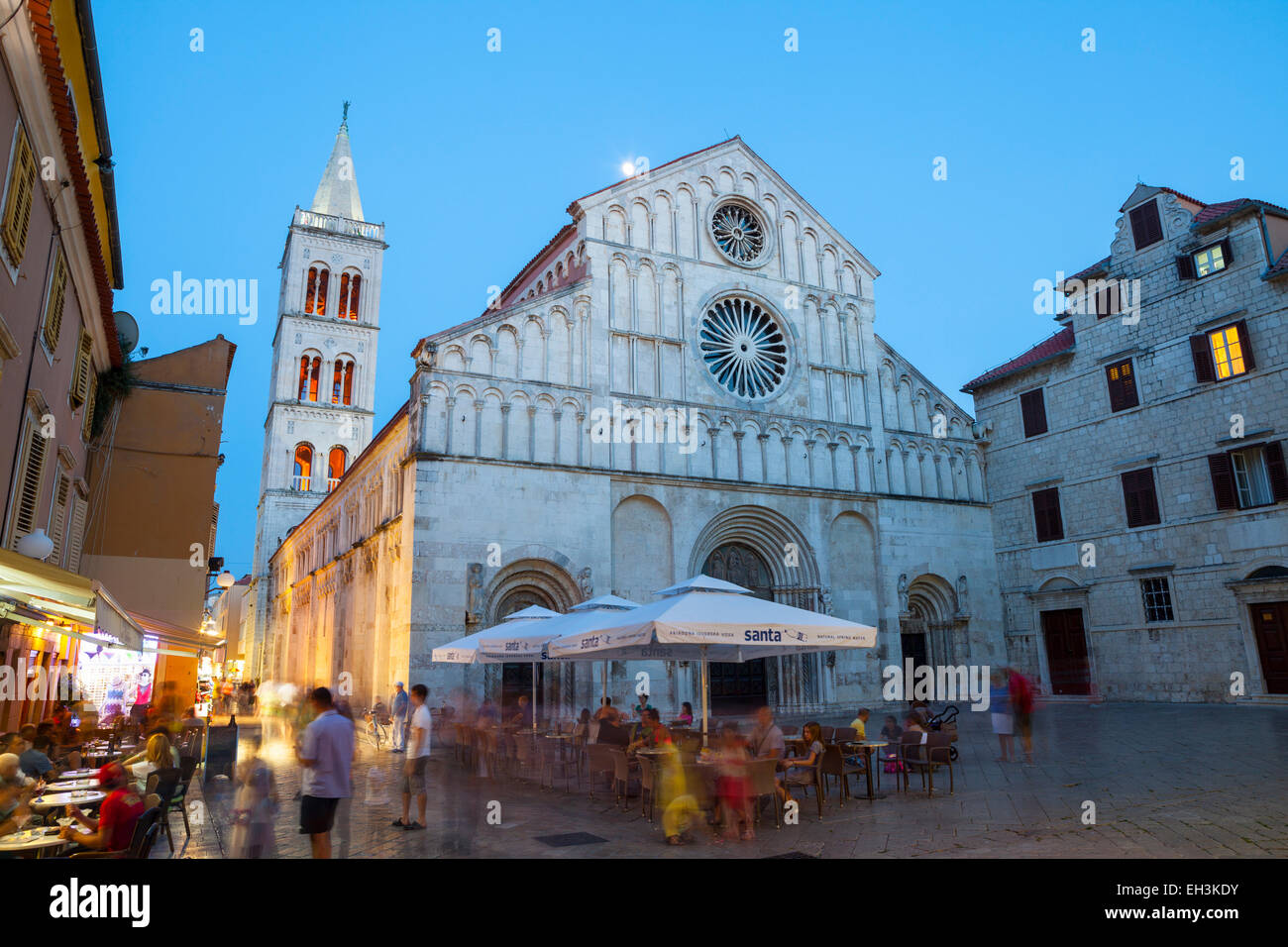 La Cathédrale de Ste Anastasie (Katedrala sv Stosije) allumé au crépuscule, Stari Grad (vieille ville), Zadar, Dalmatie, Croatie Banque D'Images