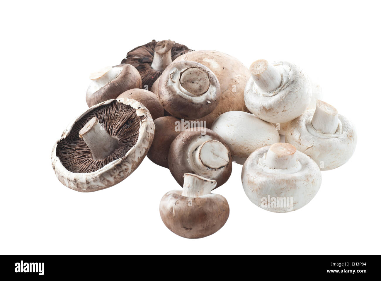 Champignons blancs, et portabello champignons bruns. Banque D'Images