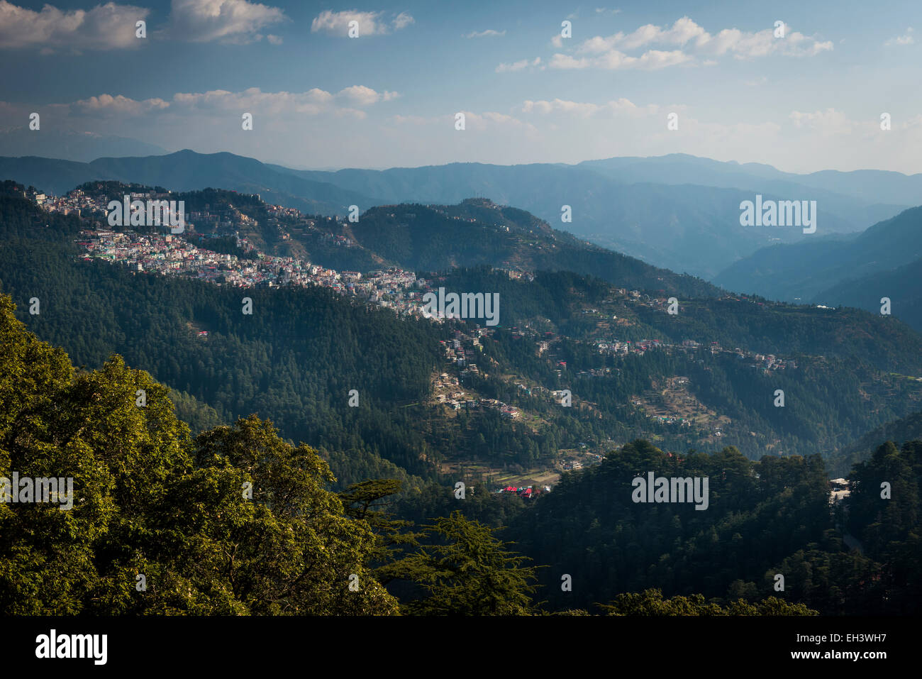 Vue sur les quartiers périphériques de Shimla au pied des collines de l'Himachal Pradesh, Inde Banque D'Images