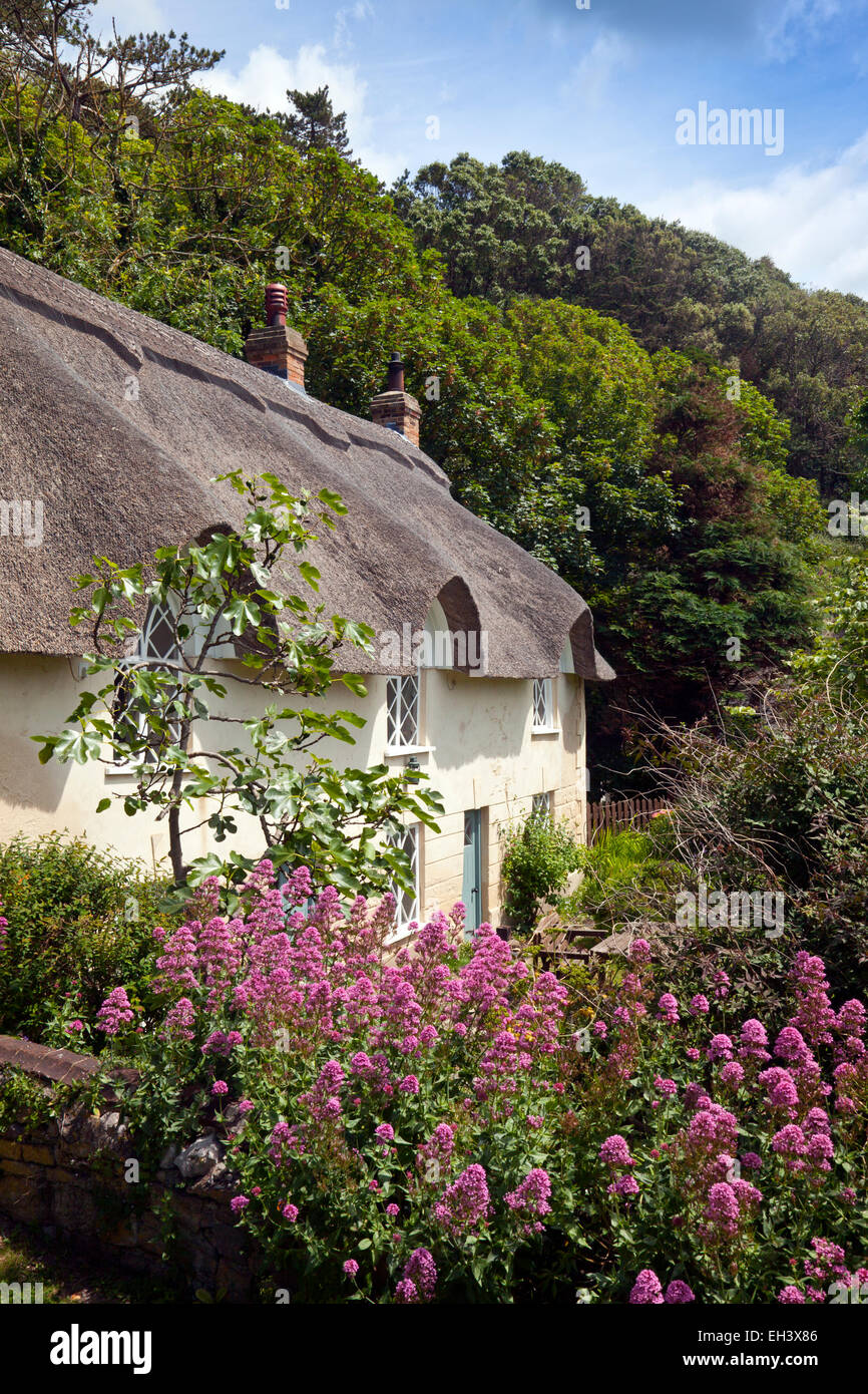 Les chaumières pittoresques Cove Lulworth Cove Cottage au sur la côte jurassique, Dorset, England, UK Banque D'Images