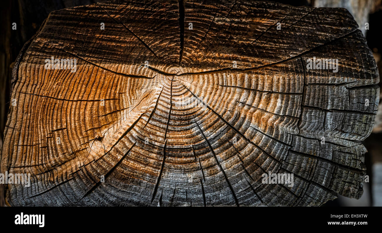 Détail de bois utilisé dans la construction à la ferme restaurée de Sinjarheim dans Aurlandsdalen, Norvège Banque D'Images