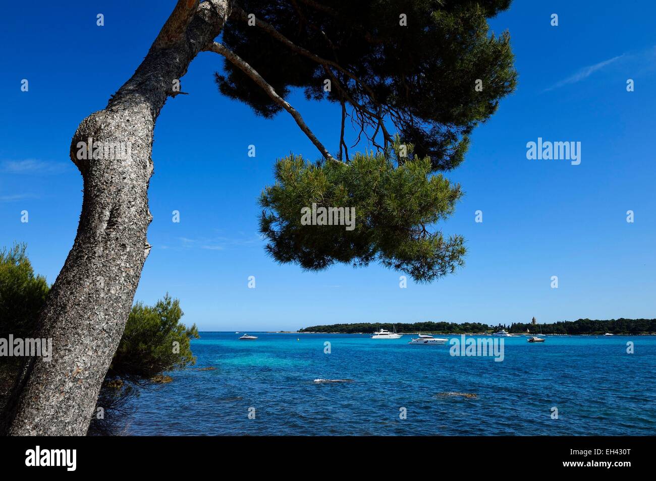 France, Alpes Maritimes, îles de Lérins, l'île Sainte Marguerite, la côte sud face à l'île Saint Honorat Banque D'Images