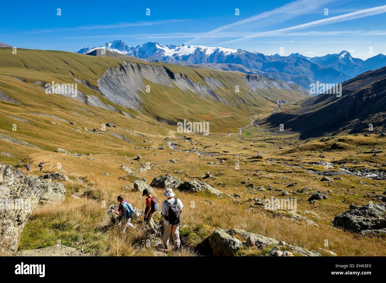 France, Isère, Parc National des Ecrins (parc national des Écrins), massif des Grandes Rousses dans la région de l'Oisans, Ferrand river valley, la randonnée au lac Quirlies, Meije massif dans l'arrière-plan Banque D'Images