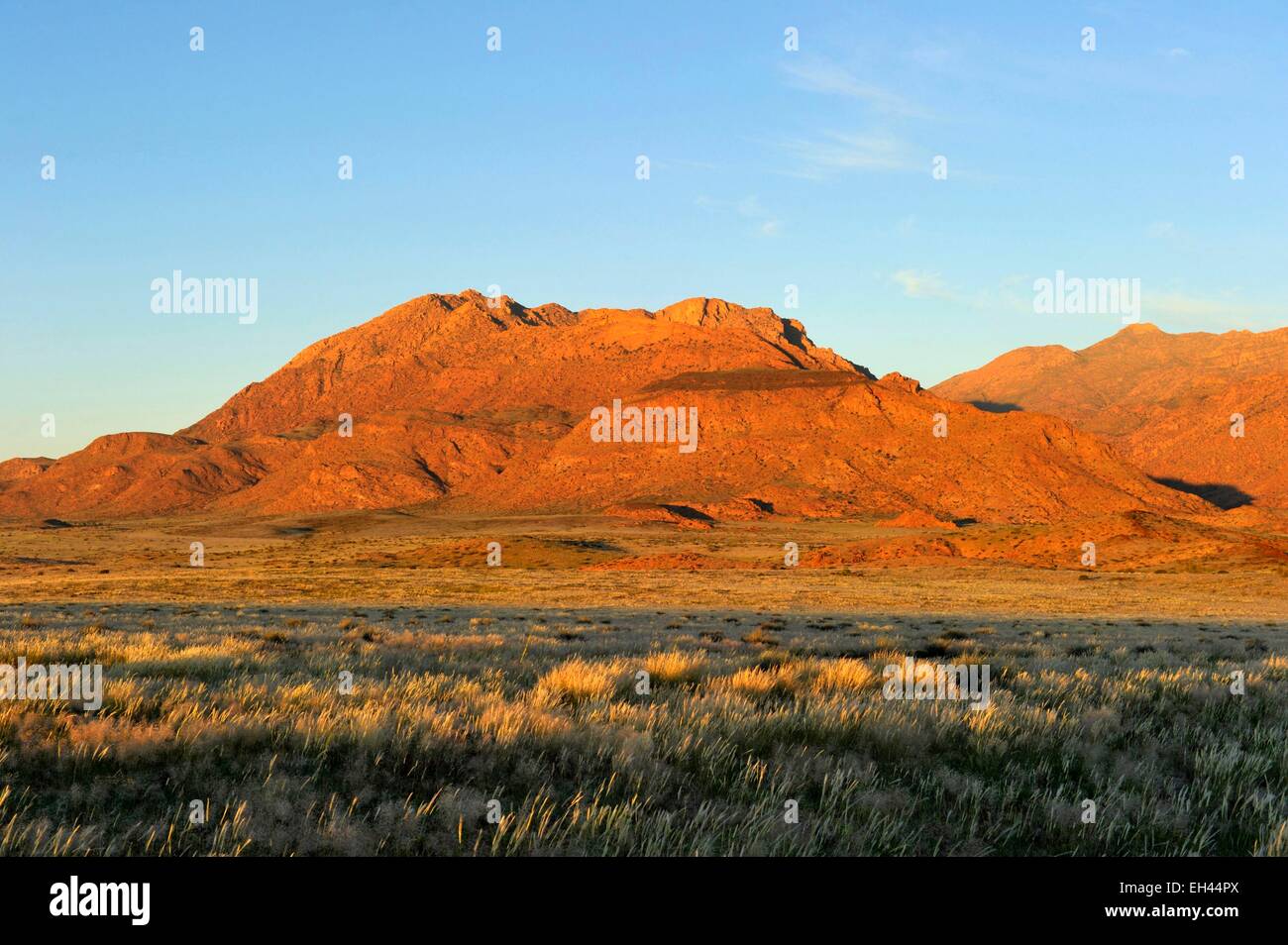 La Namibie, région d'Erongo, Damaraland, et la vallée de la rivière Ugab Brandberg Banque D'Images