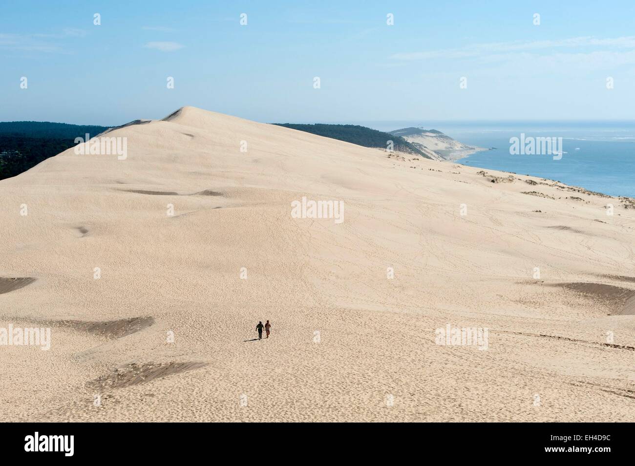 France, Gironde, La Teste de Buch, Dune du Pilat est la plus haute dune d'Europe (110m), en train de marcher sur la dune Banque D'Images