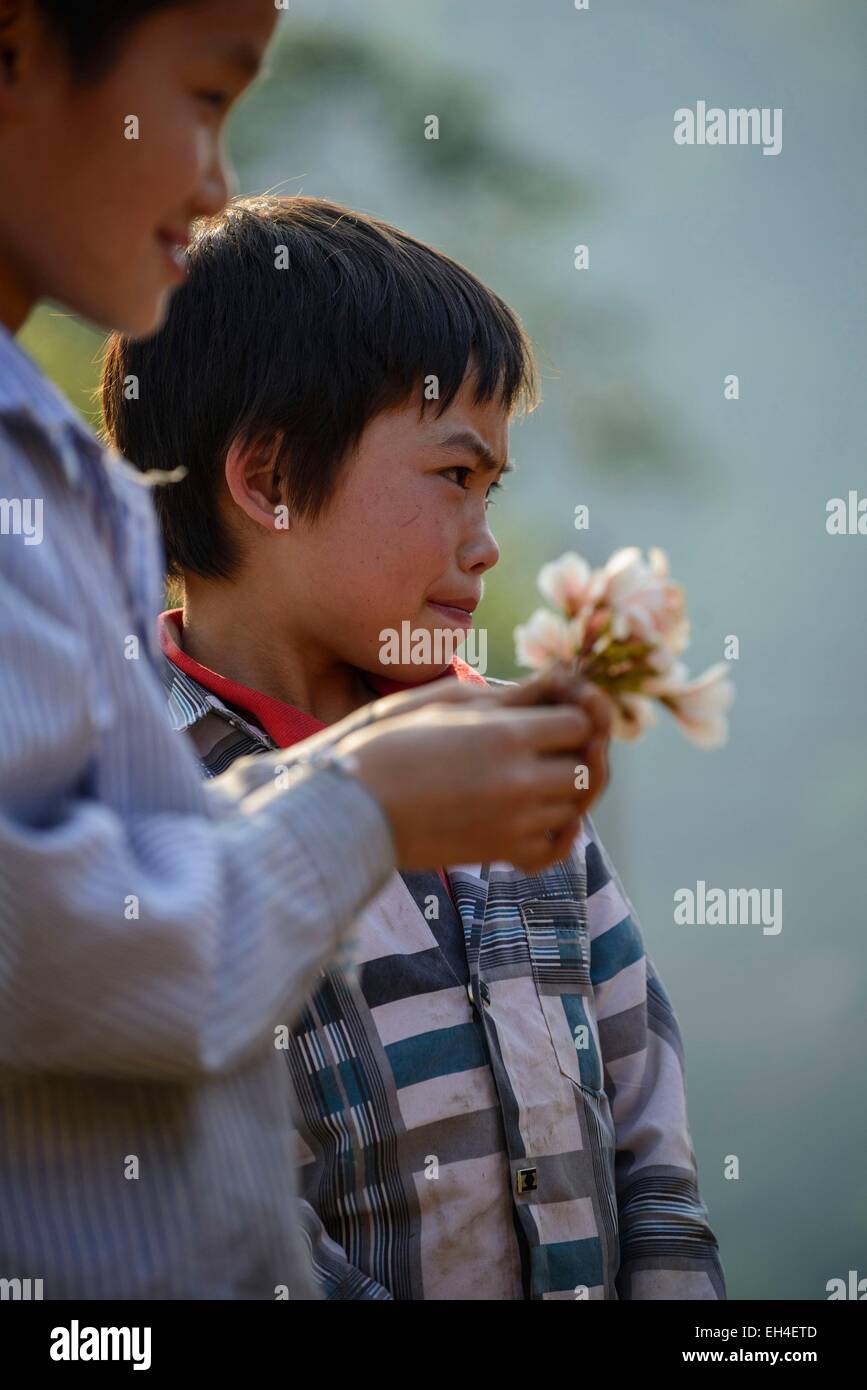 Vietnam, province de Lao Cai, Bac Ha, groupe ethnique hmong, les garçons avec des fleurs portrait Banque D'Images