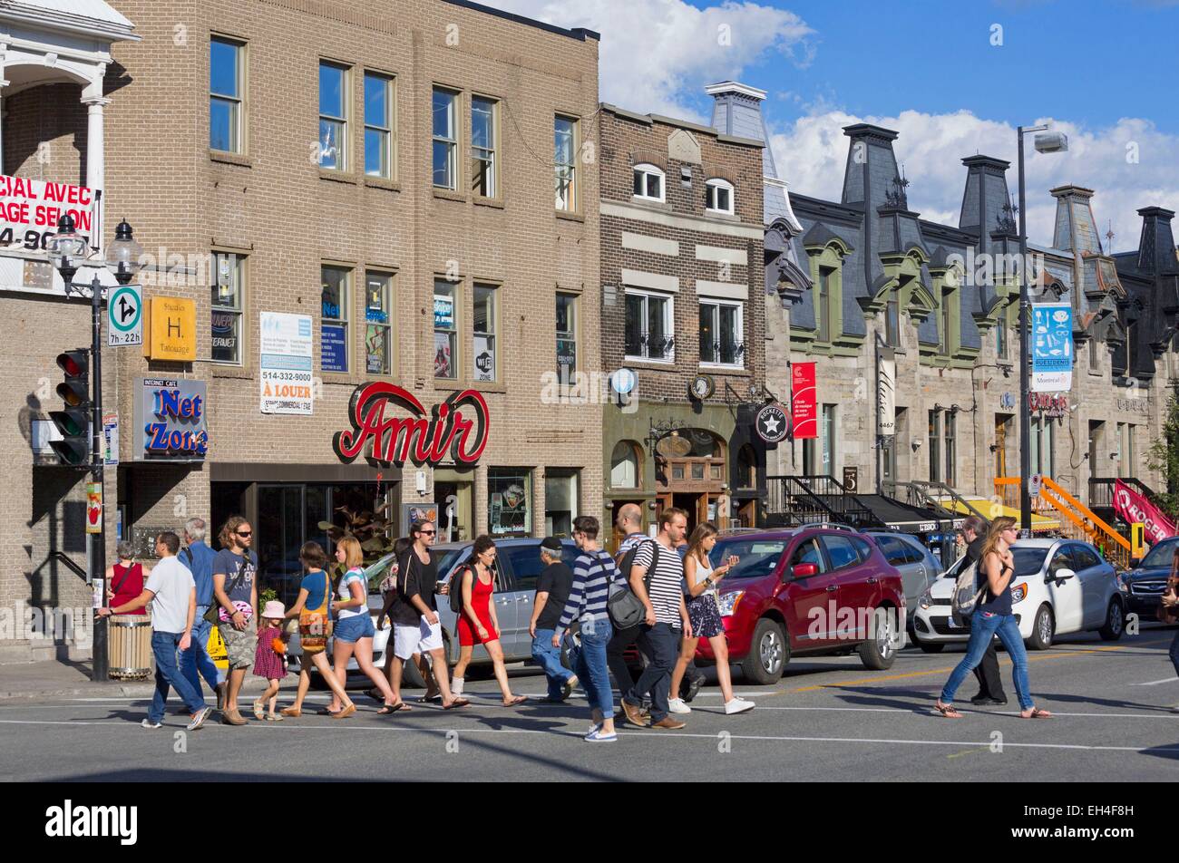 Le Canada, la province du Québec, Montréal, district du Plateau Mont-Royal, la rue St-Denis, passage pour piétons Banque D'Images