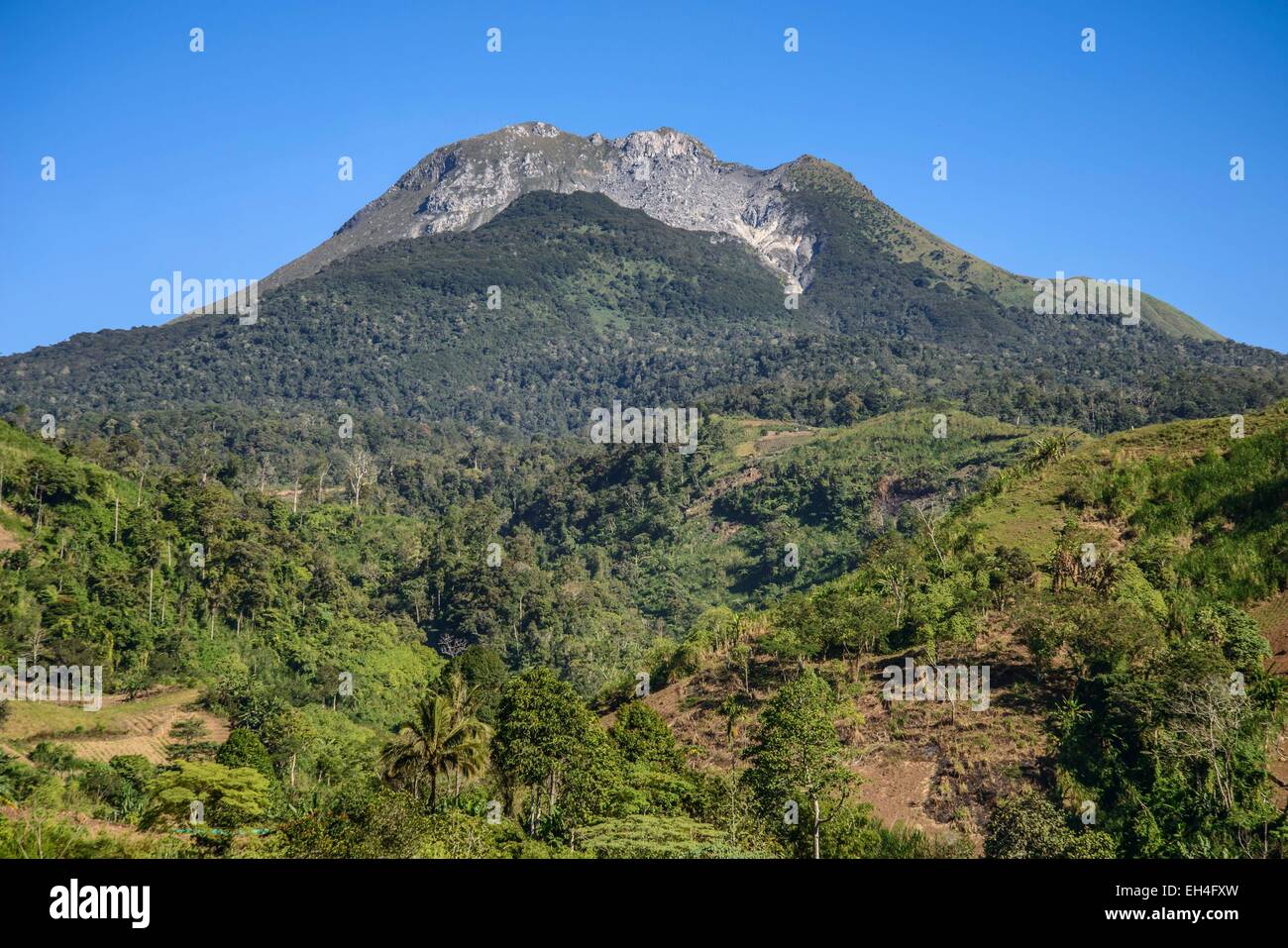 L'île de Mindanao, Philippines, Davao, région du parc national le Mont Apo, le Mont Apo volcan (2954 m), la plus haute montagne dans les Philippines Banque D'Images