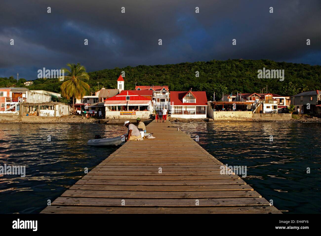 La France, la Guadeloupe, Basse Terre, Guadeloupe Parc National, une