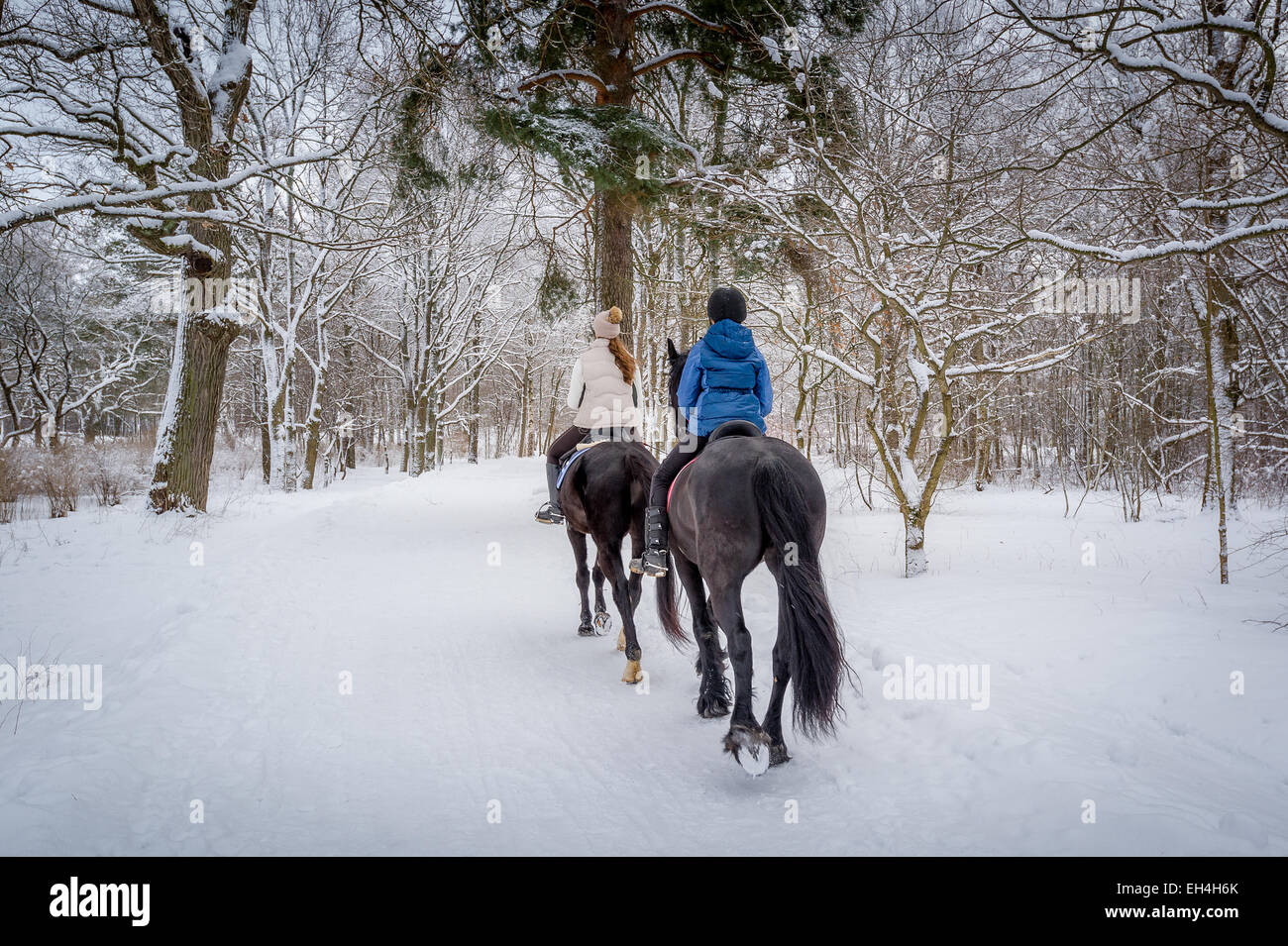 Les cavaliers au temps de neige Banque D'Images