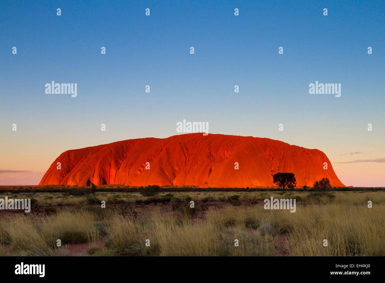 L'Australie, Territoire du Nord, le Parc National d'Uluru-Kata Tjuta classé au Patrimoine Mondial de l'UNESCO, l'Ayers Rock ou Uluru , grès rock lieu sacré pour les Autochtones Banque D'Images