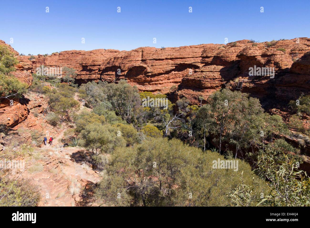 L'Australie, Territoire du Nord, Watarrka National Park, Kings Canyon Banque D'Images