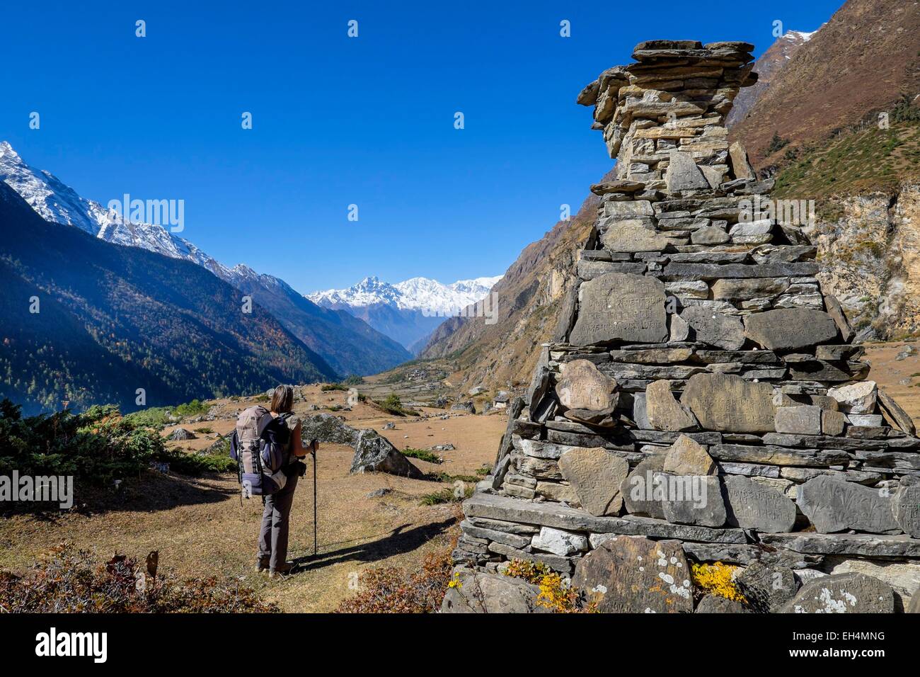 Le Népal, Gandaki zone, la vallée de Tsum, Chokangparo Chekampar ou trek (alt.3031m) en arrière-plan Banque D'Images