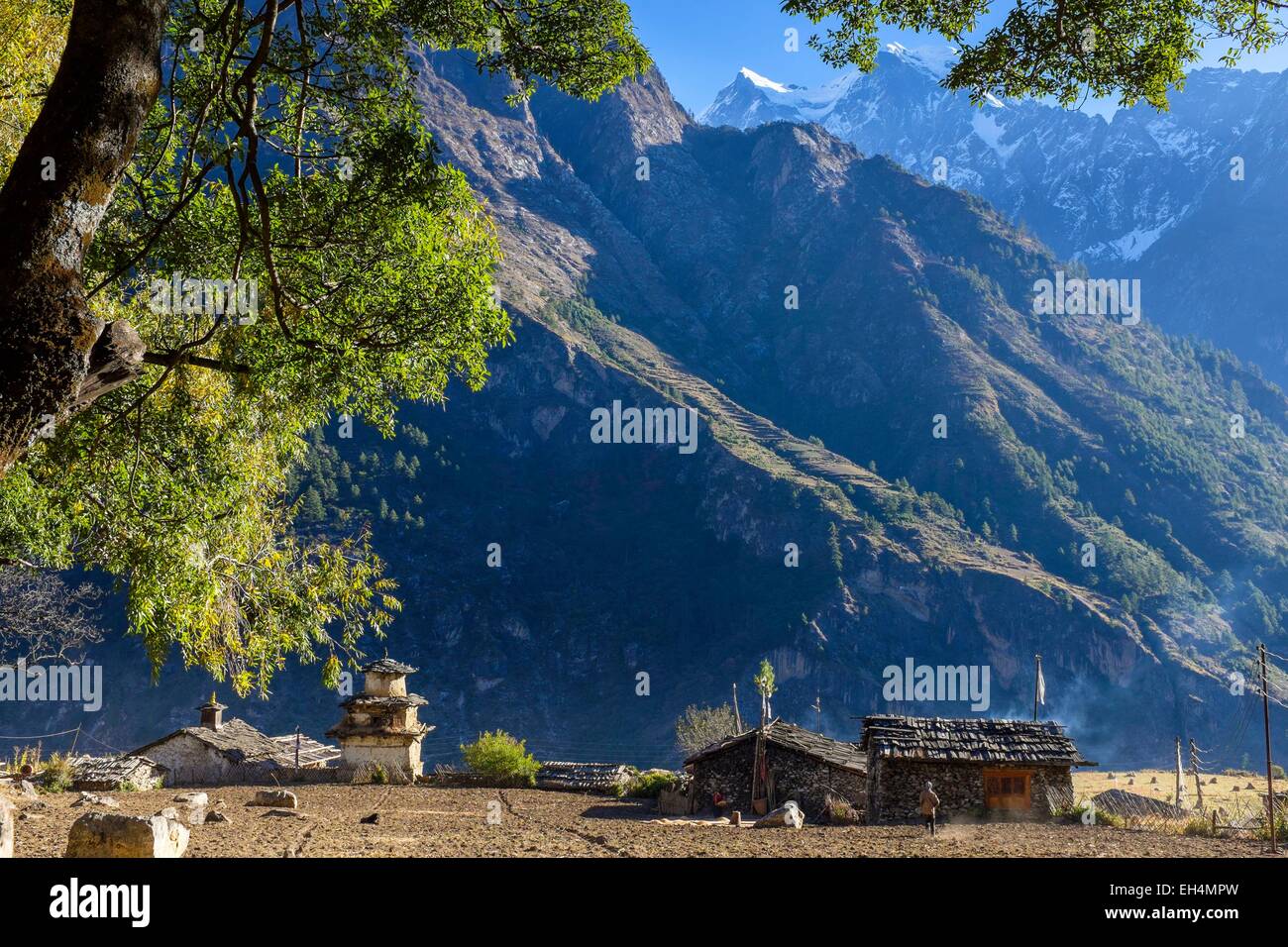 Le Népal, Gandaki zone, Manaslu Circuit, entre Philim et Prok, Prok (alt.2400m) Banque D'Images