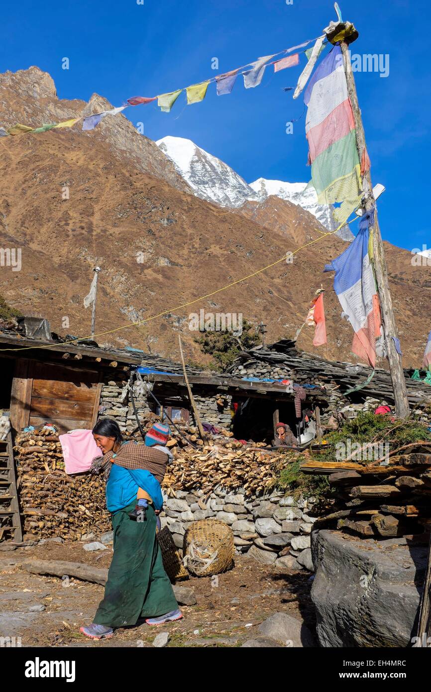 Le Népal, Gandaki zone, Manaslu Circuit, entre Lho et Samagaon, Samagaon (alt.3520m) Banque D'Images
