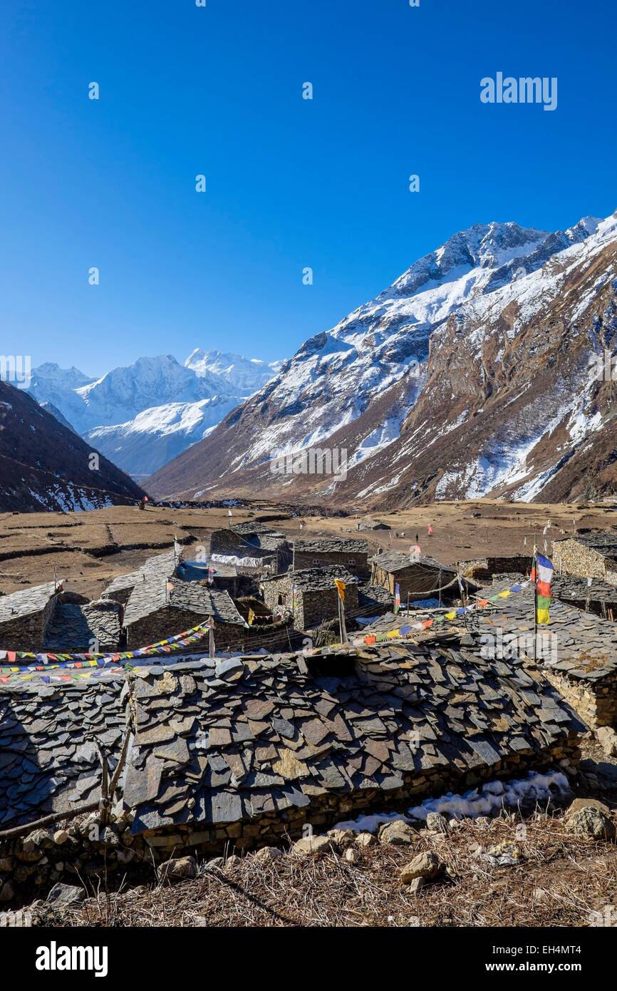 Le Népal, Gandaki zone, Manaslu Circuit, entre Samagaon et Samdo Samdo, (alt.3875m) Banque D'Images