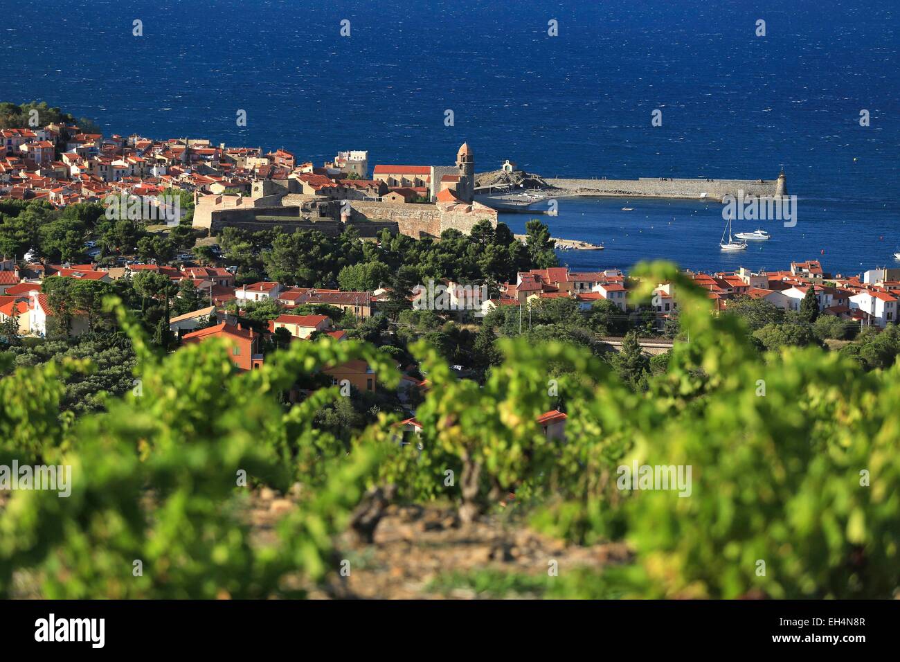 France, Pyrénées Orientales (66), Collioure, Point de vue sur le village de Collioure et le ruisseau Baleta depuis les vignes qui surplombent le village Banque D'Images