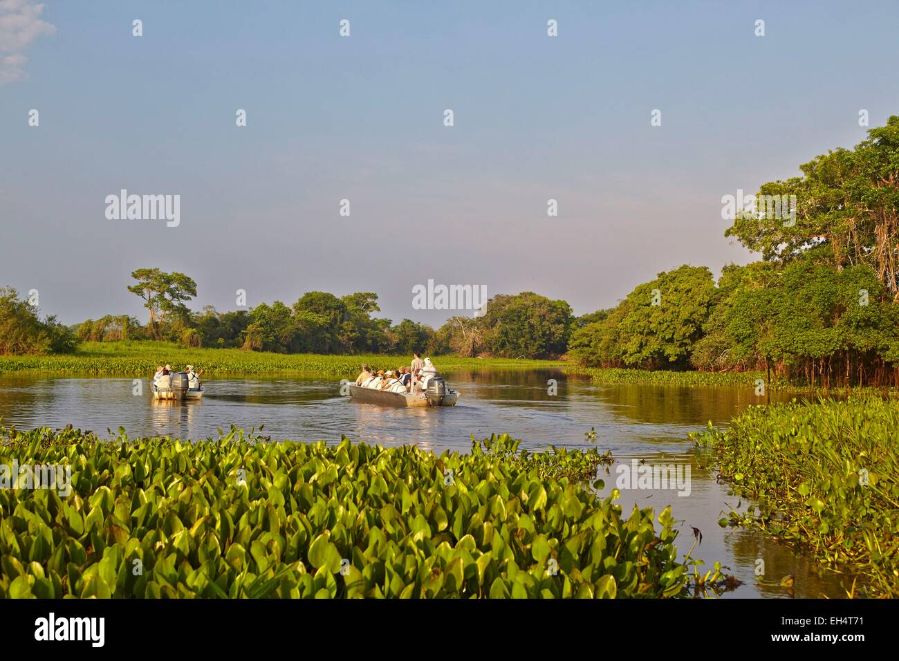 Brésil, Mato Grosso, région du Pantanal, Cuiaba river, canal noir, bateau de touristes à la Jaguar Banque D'Images