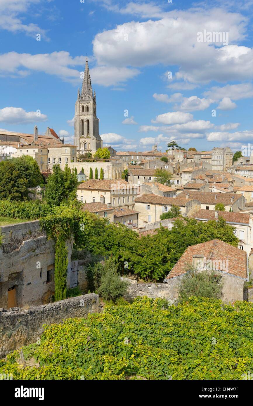 France, Gironde, Saint Emilion et AOC, vignoble classé au Patrimoine Mondial par l'UNESCO Banque D'Images
