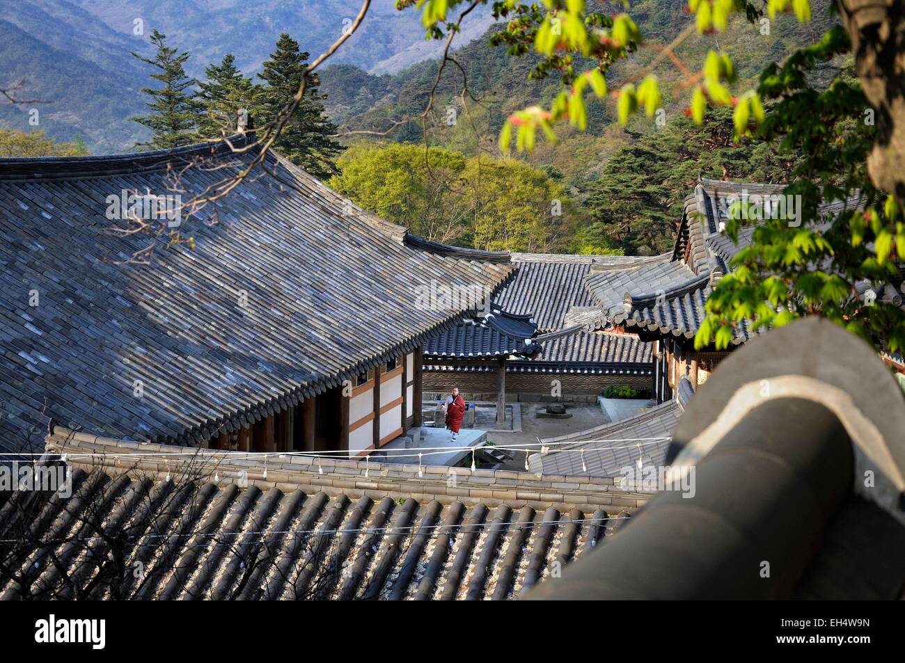 La Corée du Sud, province de Gyeongsang (Gyeongsangnam-do), Gayasan, moine et le toit du monastère entouré de collines au temple bouddhiste d'Haeinsa inscrite au Patrimoine Mondial de l'UNESCO Banque D'Images