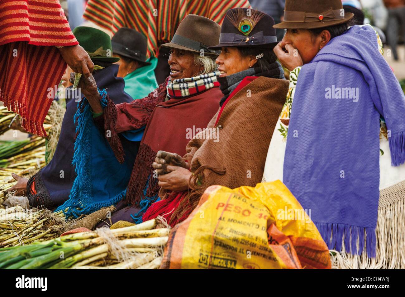 L'Équateur, Cotopaxi, Zumbahua, jour de marché au village de Zumbahua, les paysannes qui vendent leurs produits sur le marché Banque D'Images