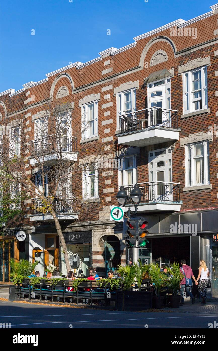 Canada, Québec, Montréal, l'arrondissement du Plateau-Mont-Royal, l'avenue du Mont-Royal, bar et terrasse sur le trottoir Banque D'Images