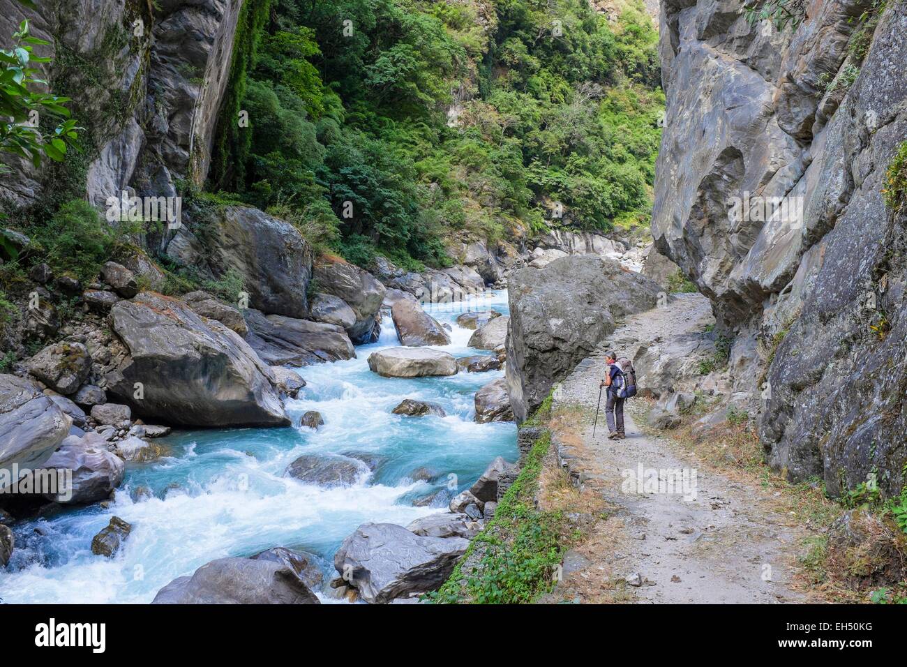 Le Népal, Gandaki zone, Tsum valley, trek le long de la Shyar Khola Banque D'Images