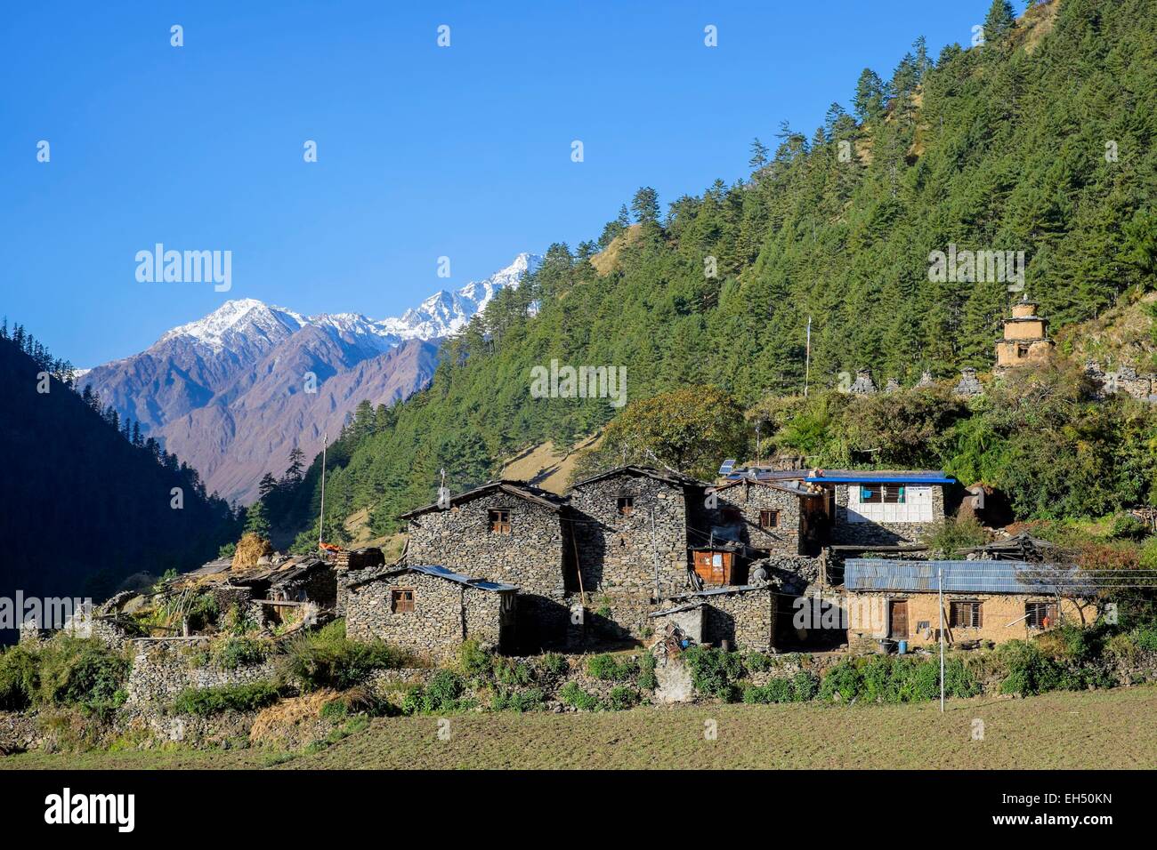 Le Népal, Gandaki zone, Tsum valley trek, Chumling (alt.Agrément 2386m) village bouddhiste Banque D'Images