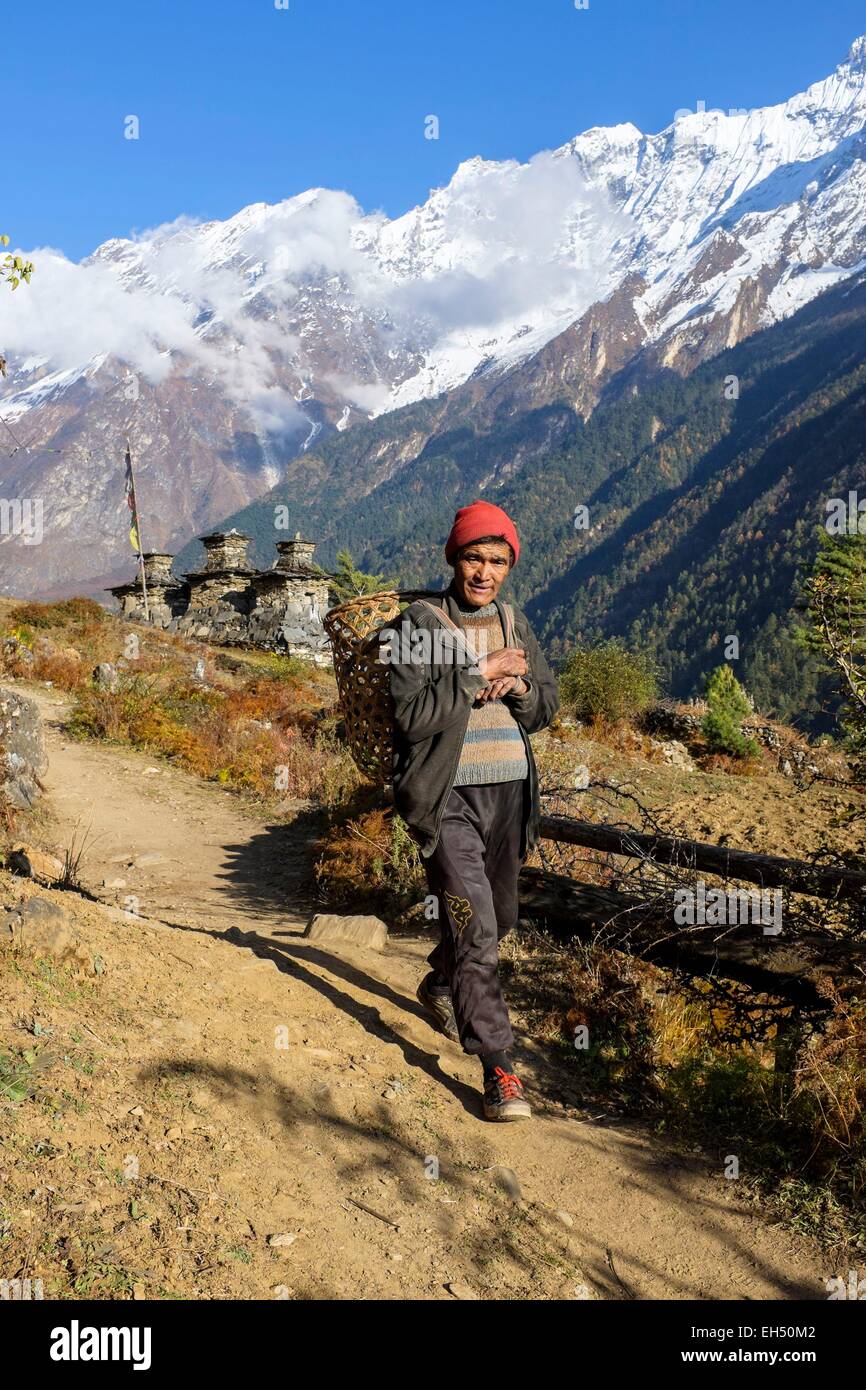 Le Népal, Gandaki zone, la vallée de Tsum, Chokangparo Chekampar ou trek (alt.3031m), paysan avec son doko (panier tressé), le ganesh himal range dans l'arrière-plan Banque D'Images