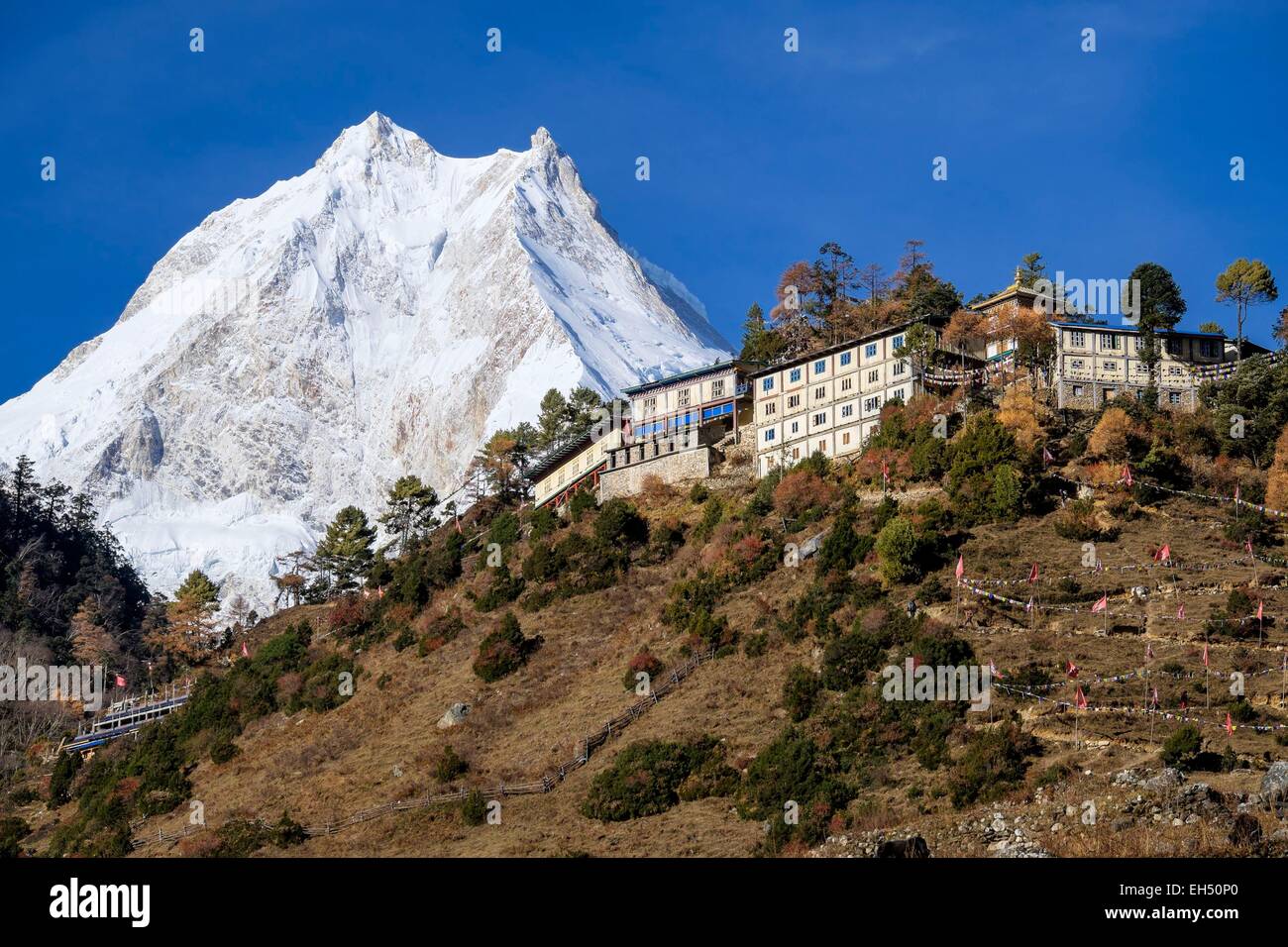 Le Népal, Gandaki zone, Manaslu Circuit, entre Prok et Lho, le mont Manaslu (alt.8156m) du village de Lho (alt.3180m) et Ribung monastère Gompa Banque D'Images