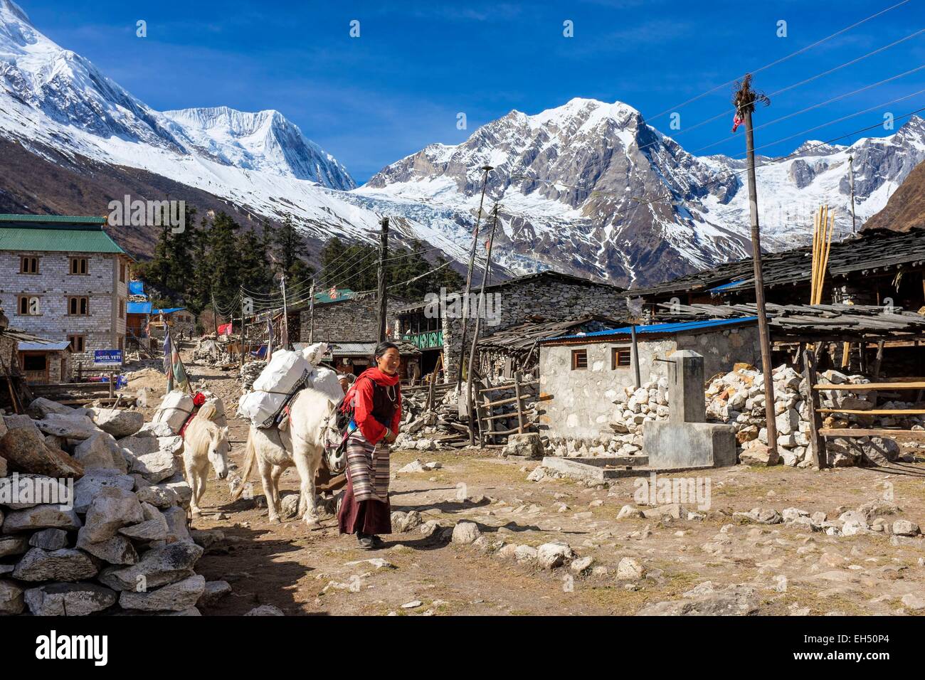Le Népal, Gandaki zone, Manaslu Circuit, entre Lho et Samagaon, Shyala (alt.3500m) Banque D'Images