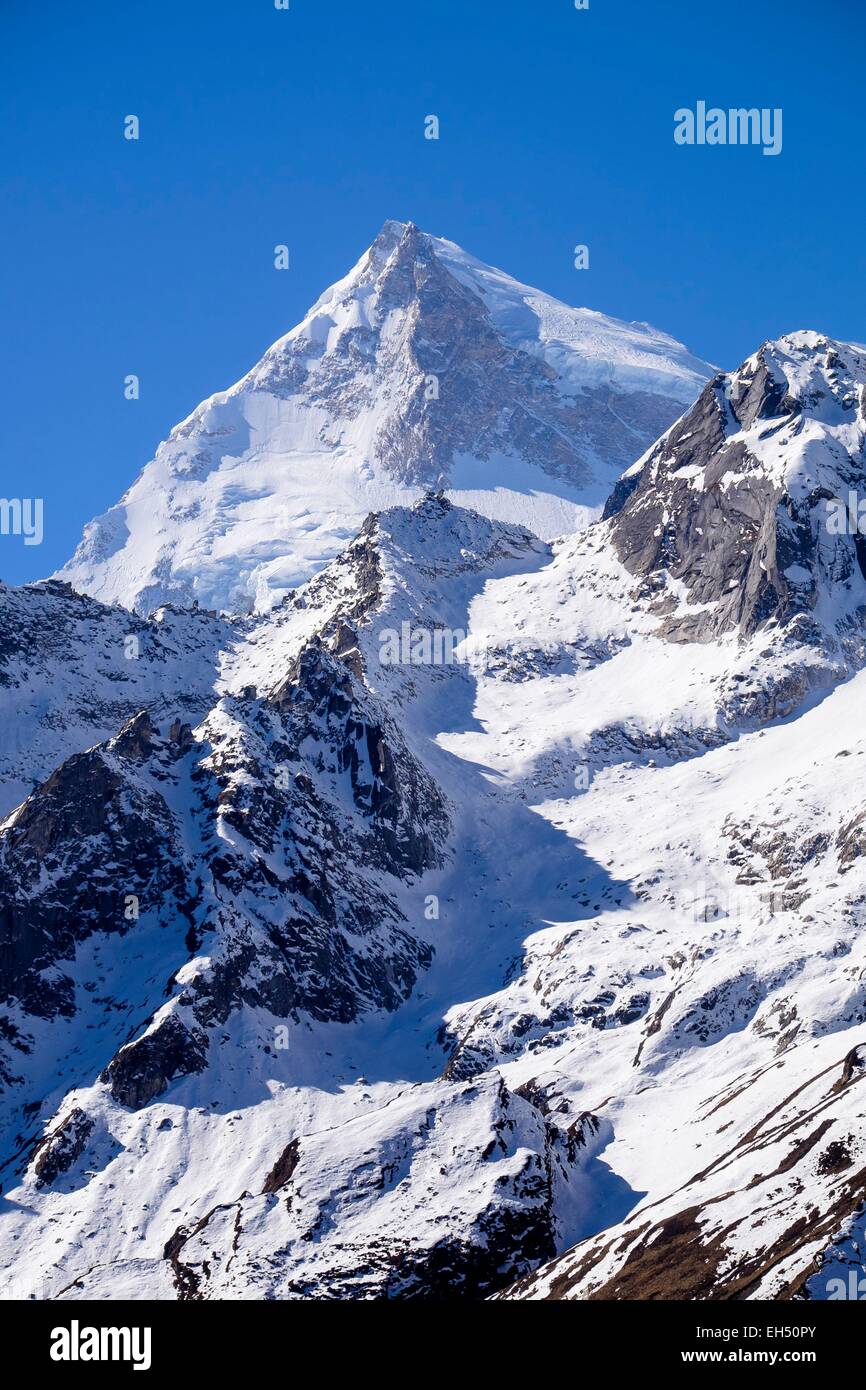 Le Népal, Gandaki zone, Manaslu Circuit, entre Samagaon et Samdo, le mont Manaslu (alt.8156m) Banque D'Images