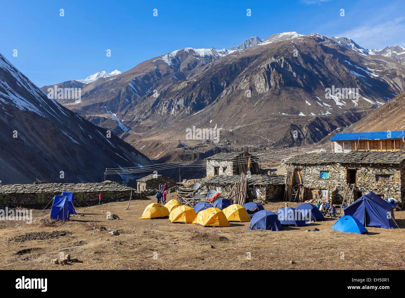 Le Népal, Gandaki zone, Manaslu Circuit, entre Samagaon et Samdo Samdo, (alt.3875m), camping Banque D'Images